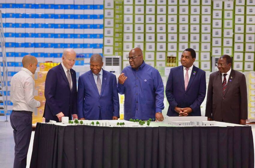  Projecto estratégico do Grupo Carrinho reforça sector do agronegócio