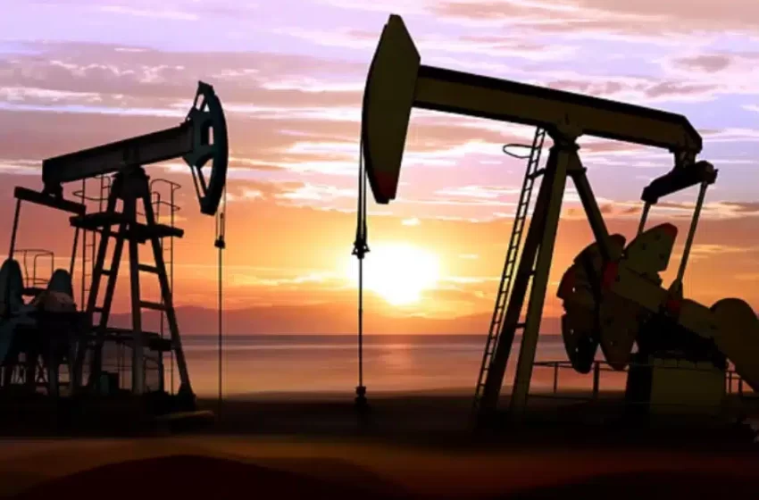  ANPG assina contratos com Wallcot e Afentra para exploração petrolífera