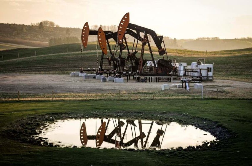  Petróleo sobe com decisão judicial nos EUA e expectativa de aumento da produção da OPEP+
