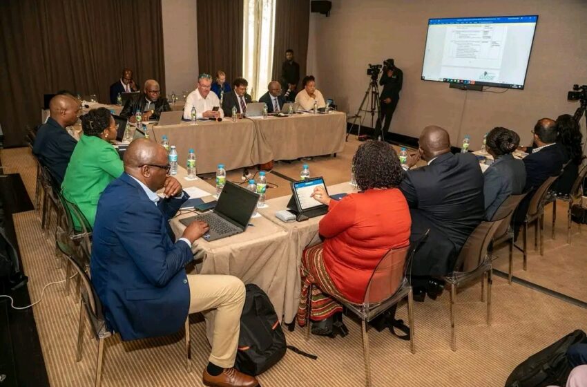  BODIVA acolhe 66.ª reunião do Comité das Bolsas de Valores da SADC