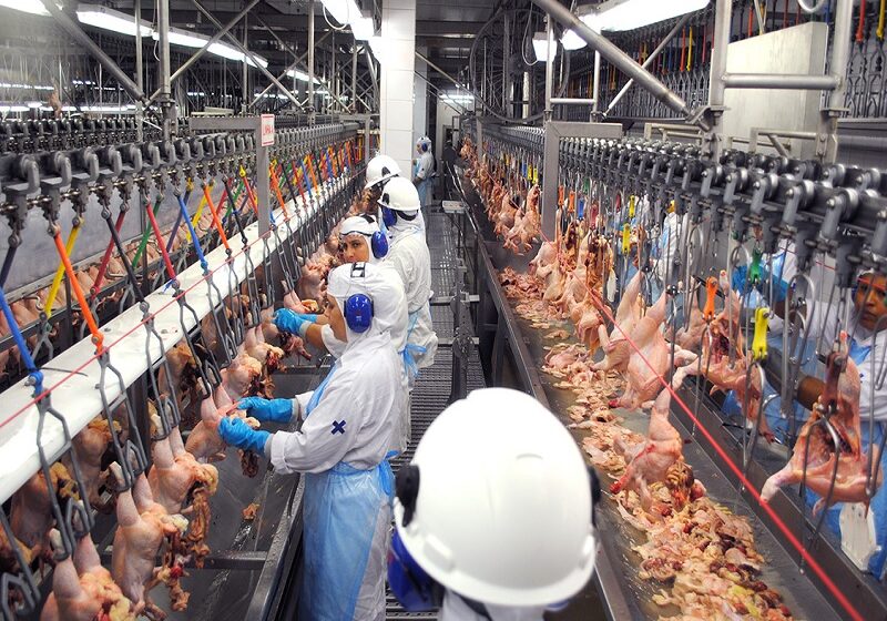  Importação de carne cai 12%, mas gastos sobem 57% no primeiro semestre