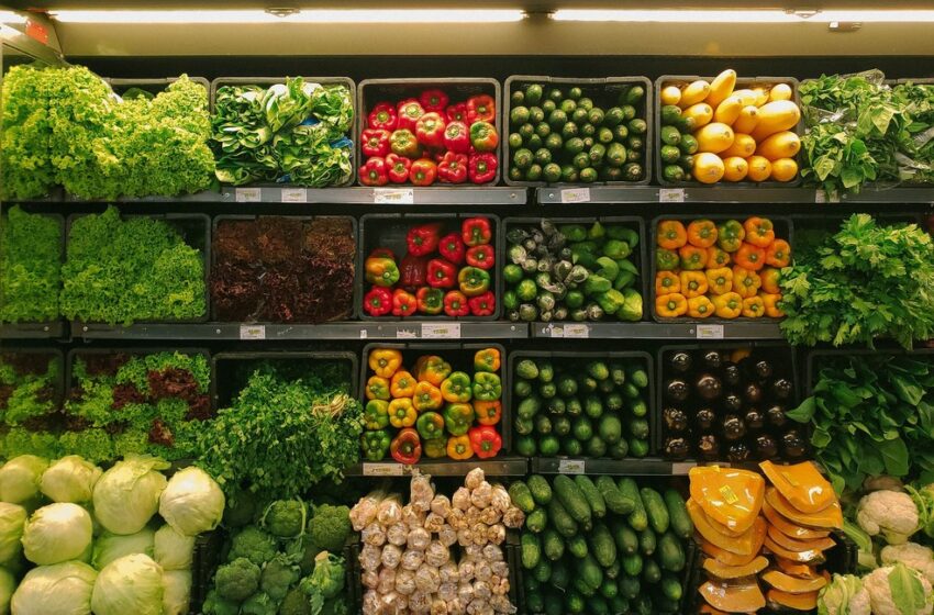  Preços mundiais dos alimentos voltam a cair em Novembro, abrindo espaço para algum alívio nos mercados africanos