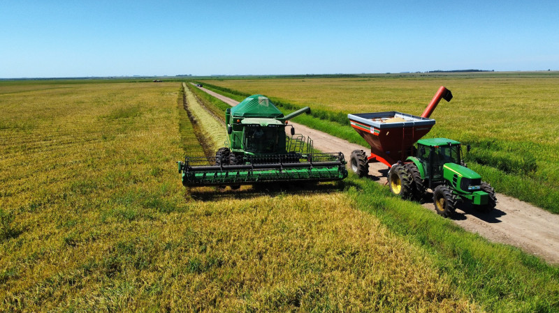  Carrinho-Agri confirma colheita de 10 mil toneladas de arroz em Luquembo
