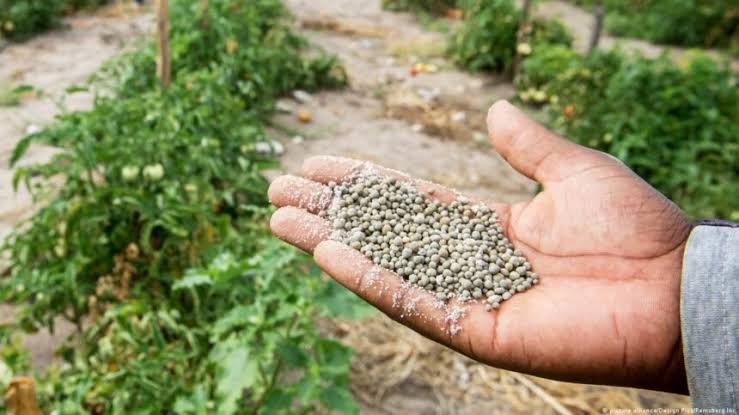  Preço elevado dos fertilizantes ameaça agravar dificuldades dos produtores angolanos