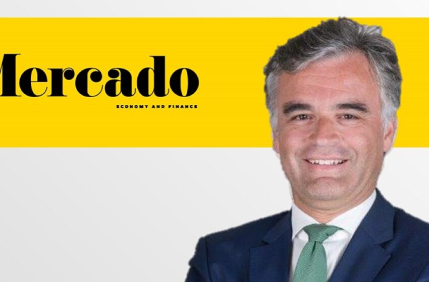  “Angola deve atrair petrolíferas de média dimensão focadas na exploração, e em África em particular” – Rui Amendoeira