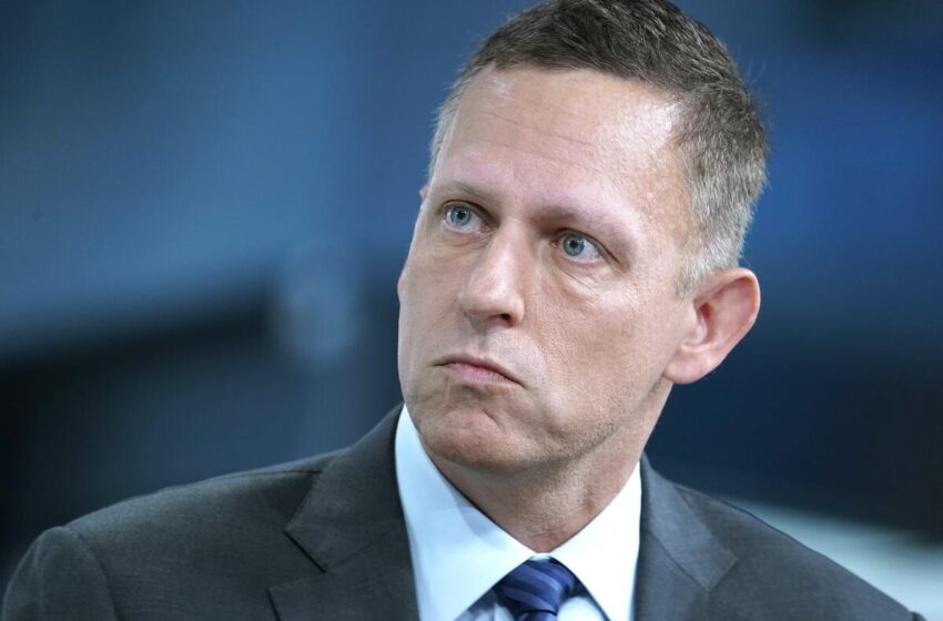  Peter Thiel e Karp querem salvar o Ocidente. Com dados, algoritmos e sem pedir desculpa