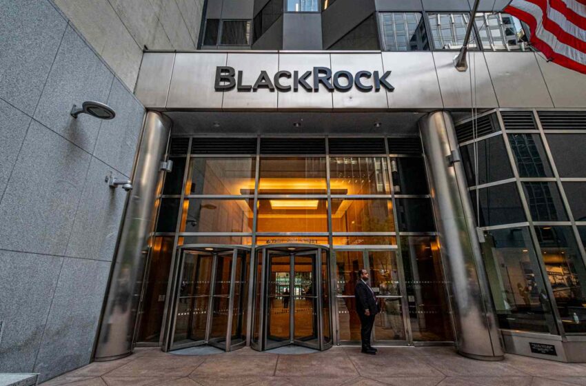  BlackRock reforça participação acima dos 3% na EDP Renováveis