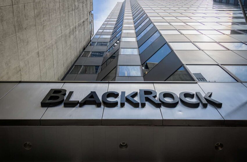  BlackRock fecha o quarto trimestre com 11,6 triliões USD em activos sob gestão 