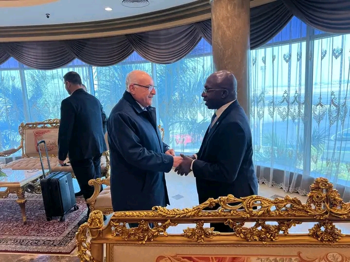  Angola e Argélia discutem cooperação bilateral no Cairo