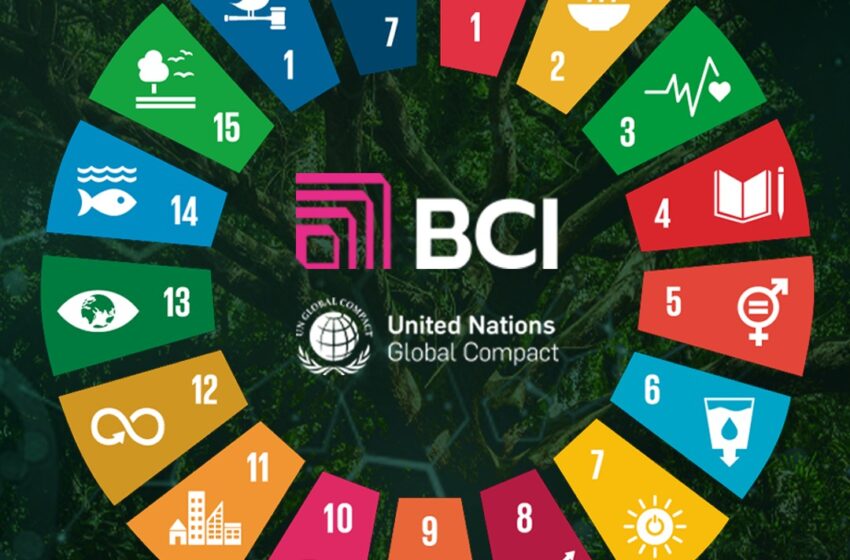  BCI adere ao Pacto Global das Nações Unidas