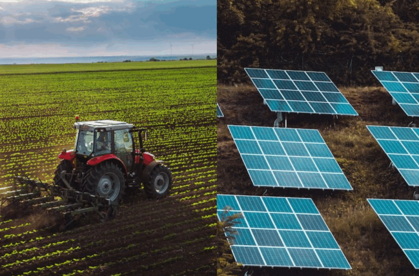  Emirados Árabes Unidos pretendem investir em energias renováveis e agricultura em Angola