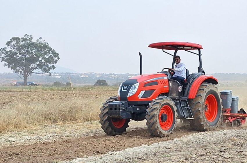  Banco Keve injecta 60 milhões USD para acelerar o Agronegócio em larga escala