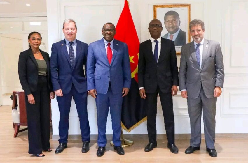  Angola exporta primeiro contentor de abacate para a Holanda a partir do Porto do Lobito