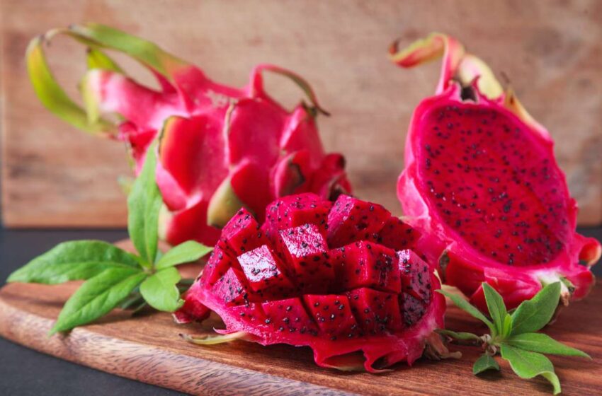  Pitaias angolanas ganham espaço em Portugal e reforçam aposta de Angola na exportação agrícola