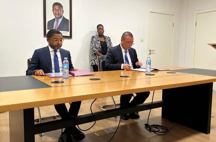  Emirados investem 750 milhões de dólares para revitalizar indústria de pasta de papel em Angola