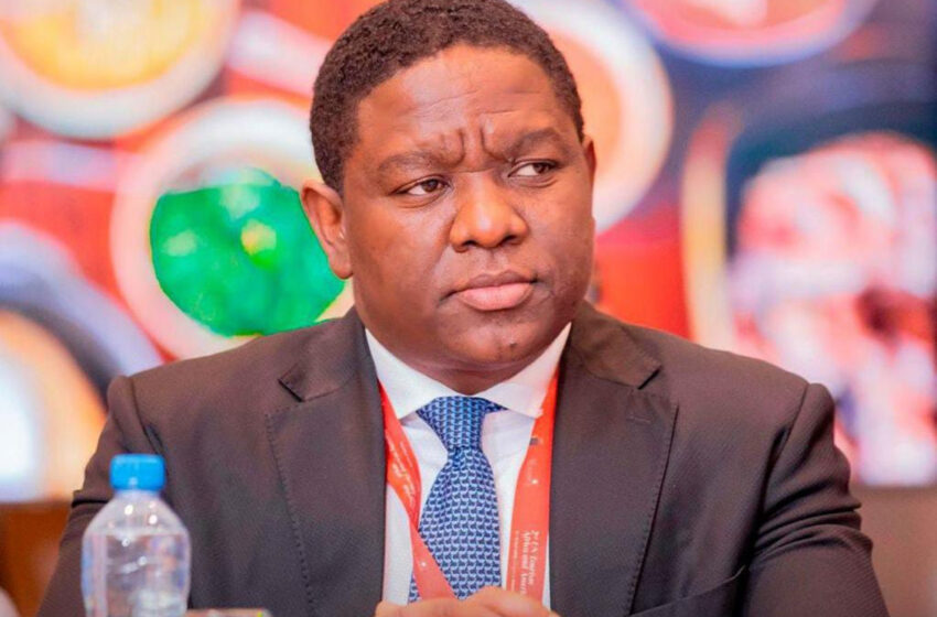  Ministro do Turismo representa Angola no Global Tourism Forum Davos 2026