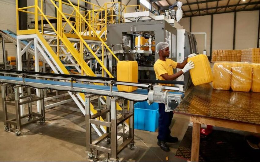  Novo complexo de refinação de óleos vegetais reforça produção local