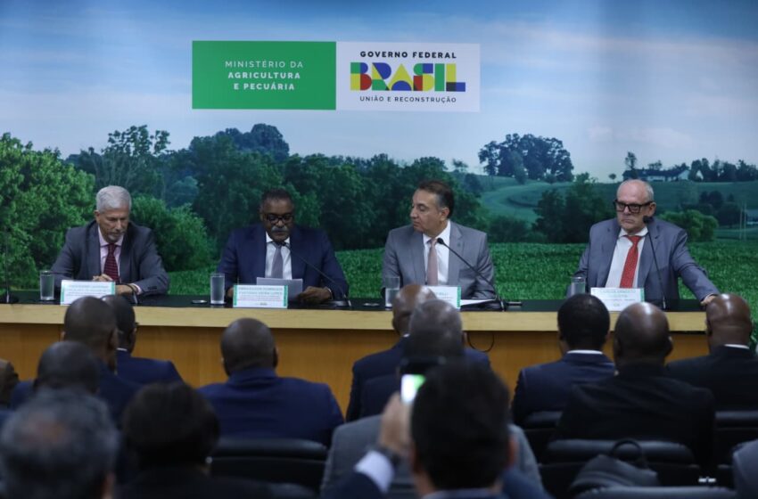  Programa agrícola Brasil–Angola prevê investimento inicial de 124 milhões USD