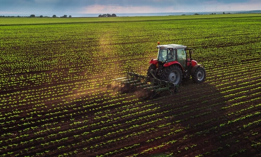  Agricultura ultrapassa petróleo no PIB mas o crude continua a financiar tudo o resto