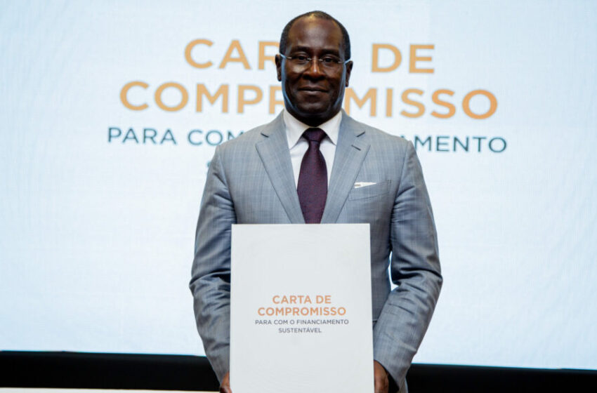  Quinze bancos angolanos unem-se pelo clima e prometem mudar a forma como financiam a economia