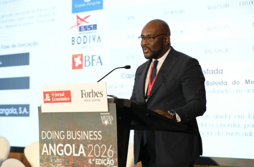  Privatizações em Angola: o princípio do fim de um programa de forte sucesso