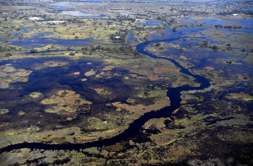  Turismo de natureza gera 168 mil milhões de dólares em África
