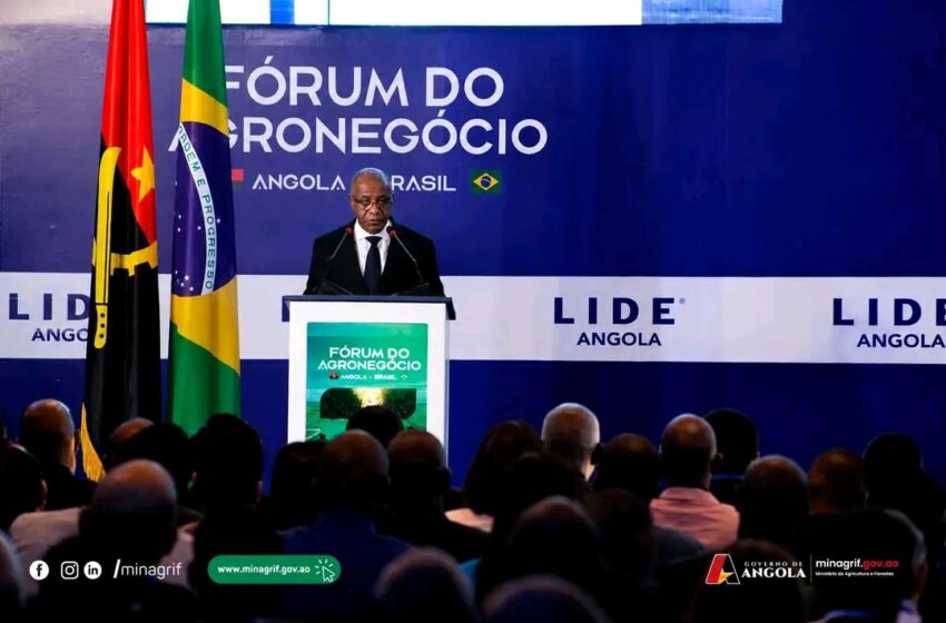  Angola prepara 800 mil hectares para investimento agrícola brasileiro