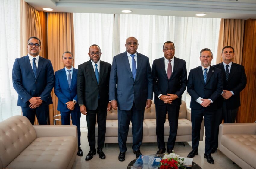  Grupo Opaia destaca cooperação com RDC para reforçar integração regional
