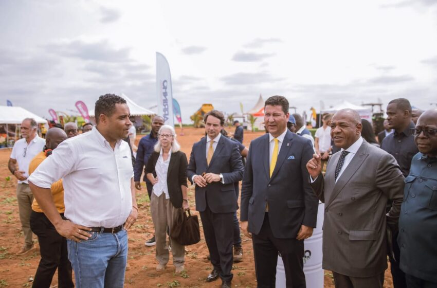  Carrinho Agri reforça aposta no fomento agrícola em nove províncias na AgriTech Show Luanda
