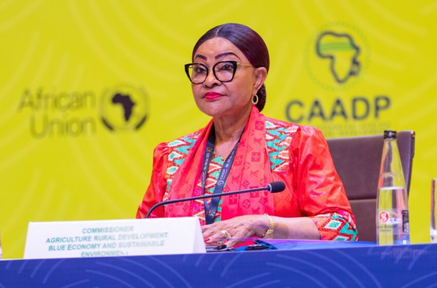  Angola lança em Roma candidatura de Josefa Sacko à liderança da FAO
